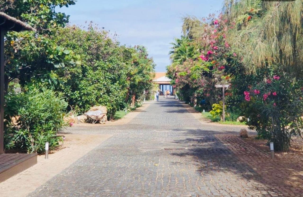 Villa With Privat Pool Near Beach Santa Maria Sal Kap Verde Bagian luar foto