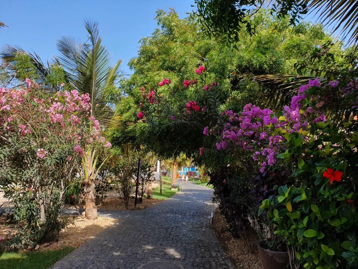 Villa With Privat Pool Near Beach Santa Maria Sal Kap Verde Bagian luar foto